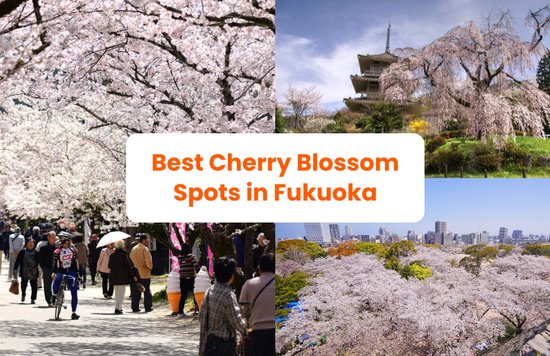 a collage of photos showcasing cherry blossoms in fukuoka, japan, along with the title of the article