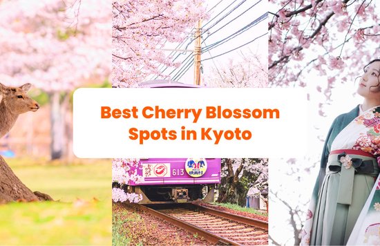 Kyoto Cherry Blossoms blog banner