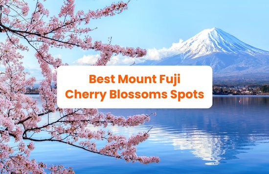 Mount Fuji Cherry Blossom Spots Blog Cover