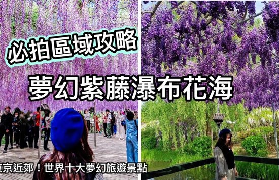 東京紫藤花景點, 東京近郊足利花卉公園