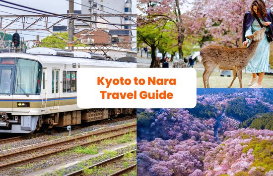 Kyoto to Nara Train with Nara Deer