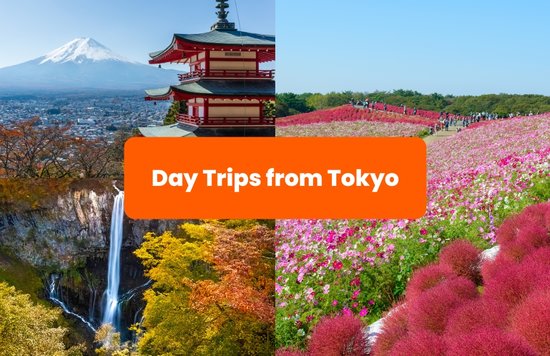 Day Trips from Tokyo - Mount Fuji and More
