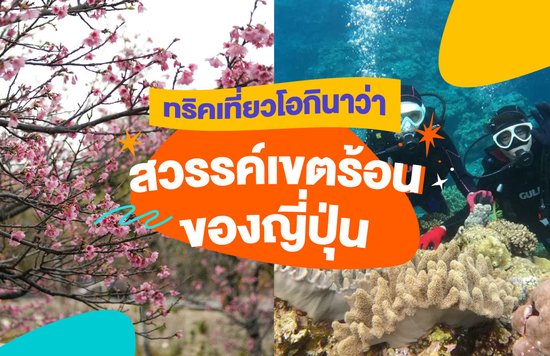 36_ทริคเที่ยวโอกินาว่า