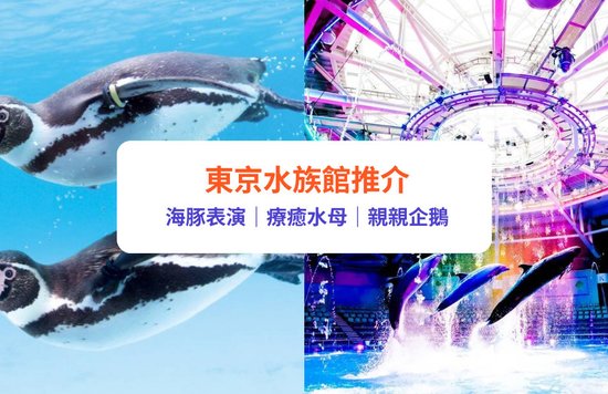 東京水族館推薦｜12大東京及近郊水族館