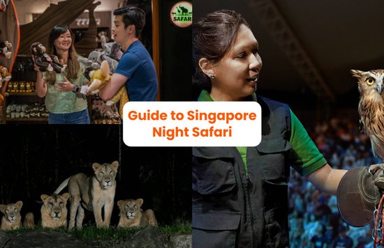 Singapore Night Safari Guide