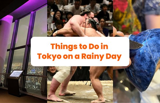 collage of photos showing places and things to do in tokyo on a rainy day