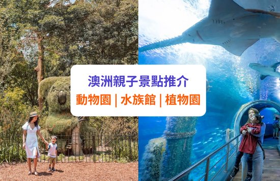 【澳洲親子遊】悉尼/墨爾本親子景點推介 | 野生動物園、Sea Life 水族館