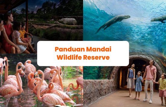 Panduan Mandai Wildlife Reserve Singapura - Blog Cover ID