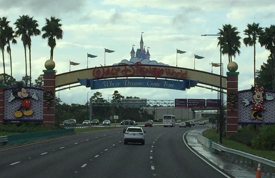 フロリダ ディズニー レストラン 4749 ウォルト・ディズニー・ワールド・リゾート KV