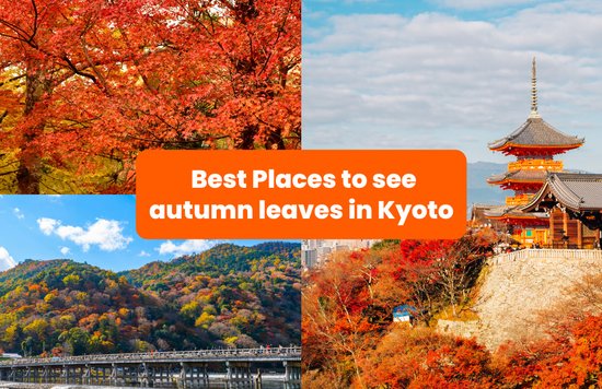 Photos of autumn foliage in Kyoto