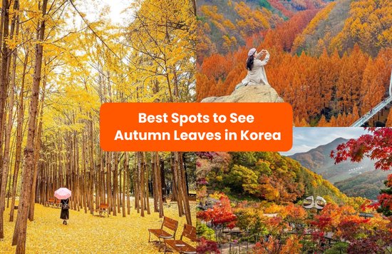 where to see autumn leaves in korea