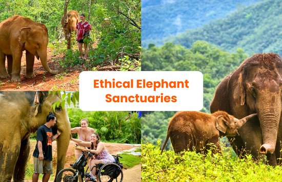 Ethical Elephant Sanctuaries Thailand & Laos