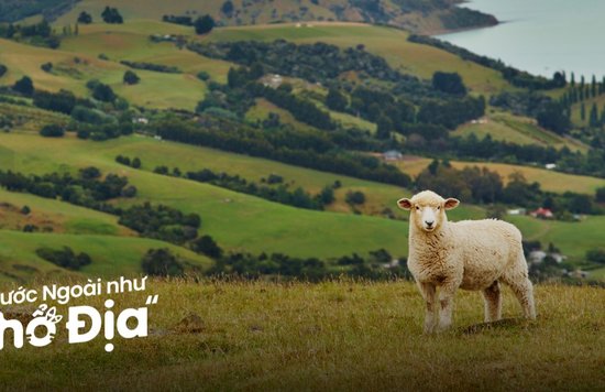 dia-diem-du-lich-new-zealand