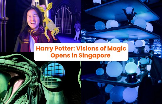 harry potter visions of magic review