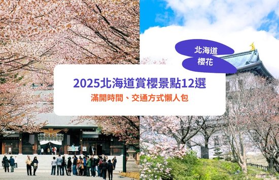 北海道櫻花2025 北海道櫻花 日本櫻花2025 日本櫻花