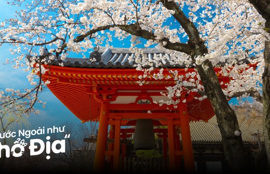 meo-du-lich-nhat-ban