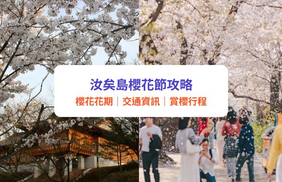 汝矣島櫻花節2025|首爾賞櫻必訪 - 絕美永登浦汝矣島櫻花慶典!附交通、周邊景點、一日遊攻略