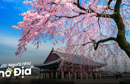 du-lich-han-quoc-nhat-ban-9-ngay-8-dem