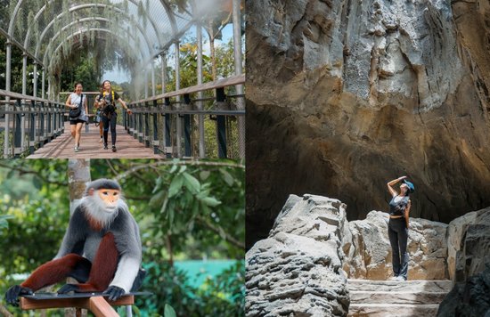 Mandai Rainforest Wild Asia Singapore