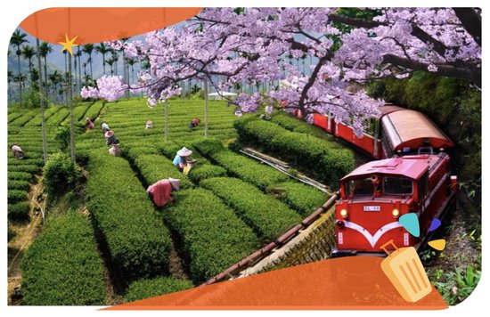 阿里山一日遊封面