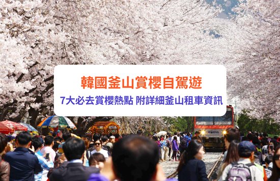 釜山賞櫻自駕遊