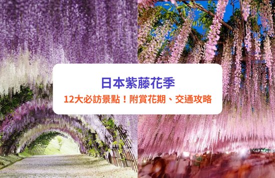 日本紫藤花2025|12大夢幻紫藤花景點推介!附最佳賞花時間、祭典活動、交通攻略