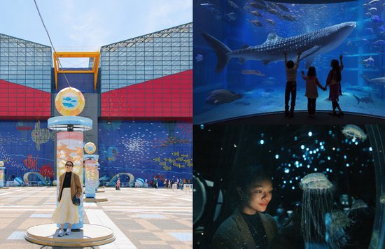 a-guide-to-osaka-aquarium-kaiyukan banner