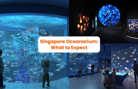 singapore oceanarium guide 