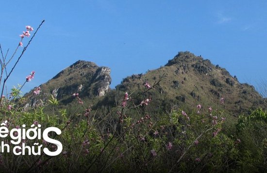 kinh-nghiem-di-nui-ham-rong-sapa