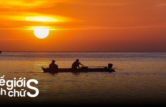 cau-muc-dem-phu-quoc