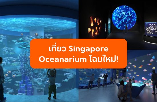 Singapore Oceanarium