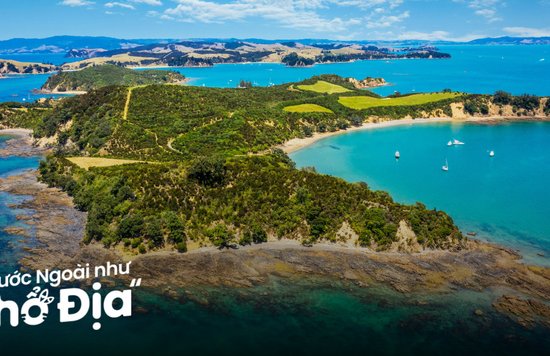 tham-quan-dao-bac-new-zealand