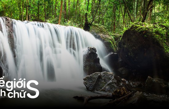 vuon-quoc-gia-phu-quoc