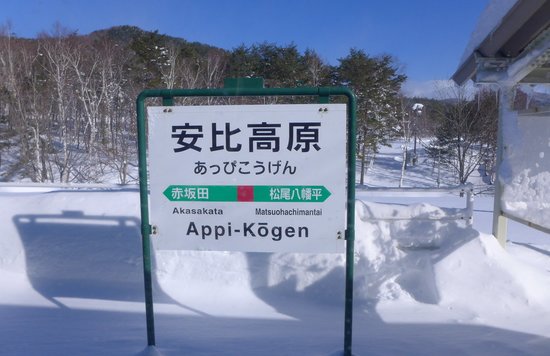 安比高原滑雪全攻略