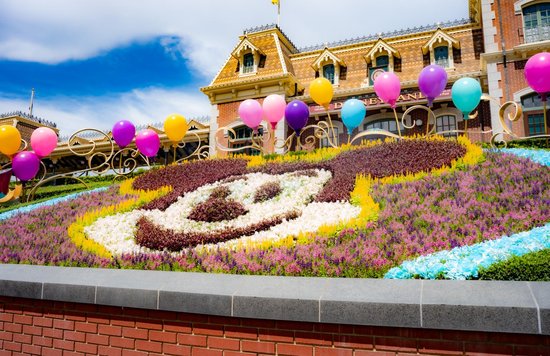 20周年の香港ディズニーランドのクリスマスへ! ミッキー 花壇