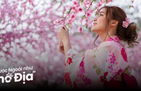12 Địa Điểm Du Lịch Nhật Bản Mùa Xuân Đẹp Lung Linh