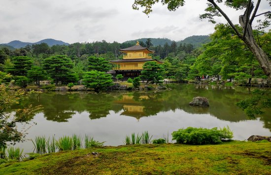 A golden temple in Kyoto