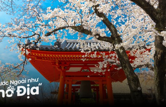 Lịch Trình Du Lịch Nhật Bản 6 Ngày 5 Đêm Chi Tiết, Dễ Đi Cho Người Đi Lần Đầu