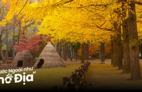 12 Địa Điểm Quay Phim Nổi Tiếng Hàn Quốc: Check-in Đẹp Như Mơ Từ Seoul Đến Jeju