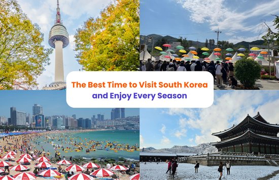 Seasonal travel highlights in South Korea across spring, summer, autumn, and winter