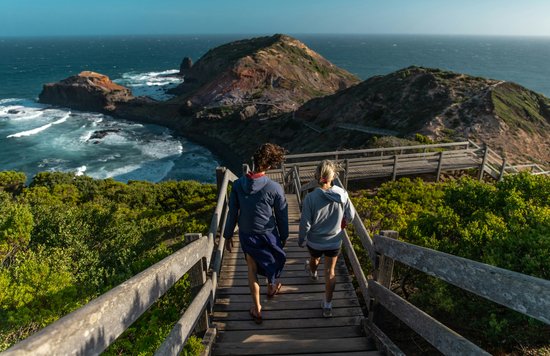 Cape Schanck on the Mornington Peninsula | Photo Credit: Mitchell Luo on Pexels