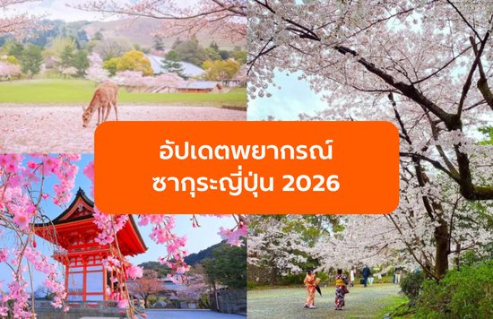 อัปเดตพยากรณ์ซากุระญี่ปุ่น 2026