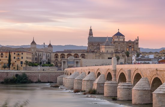 view of the Roman Bridge and Mosque-Cathedral in Córdoba