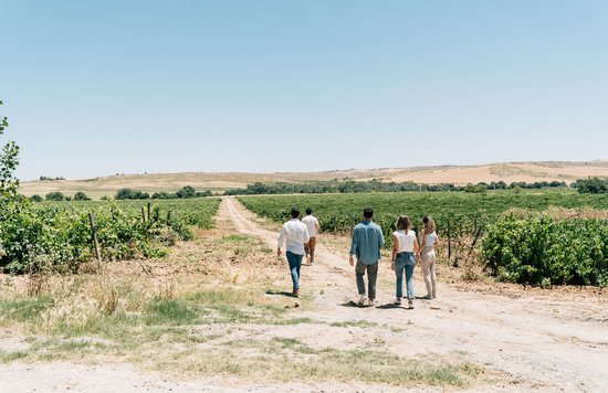 Travelers walking through vineyards in rural Spain on a village tour