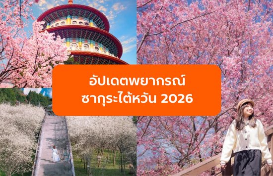 อัปเดตพยากรณ์ ซากุระไต้หวัน 2026