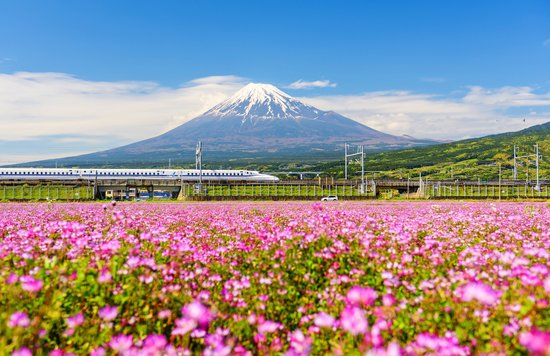 The iconic Mount Fuji