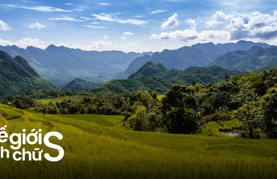 14 Ý Tưởng Vi vu Cuối Tuần