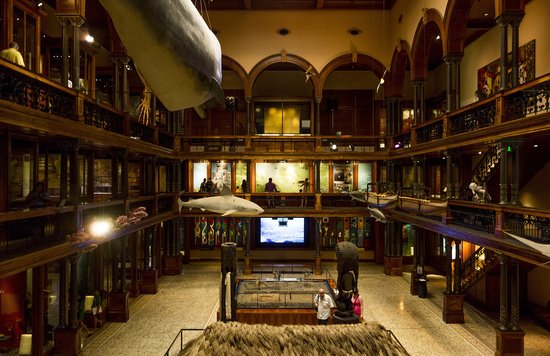 Interior hall of Bishop Museum Honolulu with Hawaiian artifacts and suspended marine models