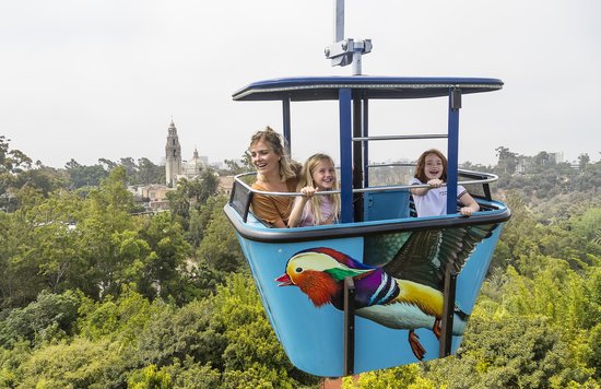 Family riding Skyfari gondola above San Diego Zoo with park views