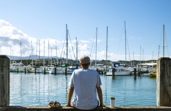 Traveler relaxing at Auckland marina with sailboats and scenic harbor views